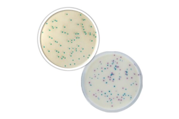 Image_TEC_INS_Biokar_Reagents_CSD_1000x665_JPG Image_TEC_INS_Biokar_Reagents_CSD_1000x665_JPG