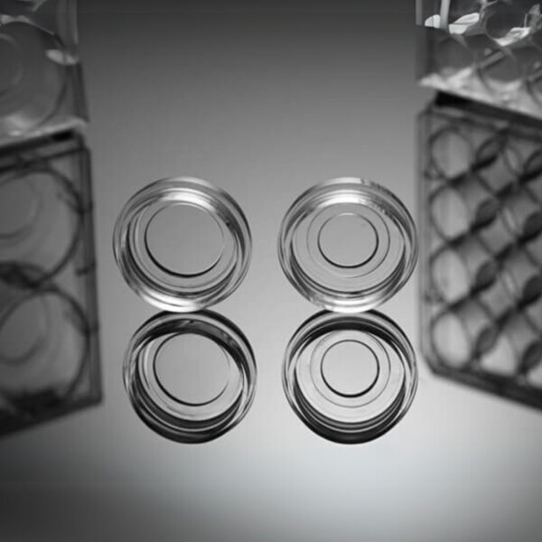NEST - Cell Biology - Glass Bottom Culture Dishes/Plates