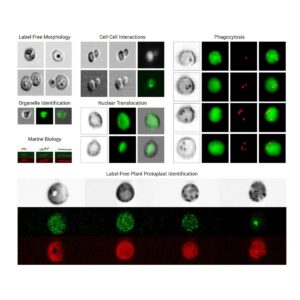 Image_Product_TEC_SCS_NanoCellect_VerloImageGuidedCellSorter_1200x1200_JPG_02-300x300 Image_Product_TEC_SCS_NanoCellect_VerloImageGuidedCellSorter_1200x1200_JPG_02-300x300