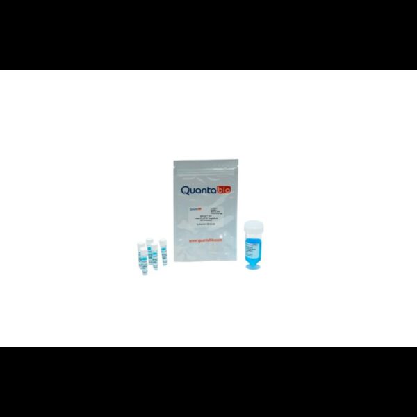 Image_TEC_INS_Quantbio_qPCR_1000x665_JPG_02.jpg Image_TEC_INS_Quantbio_qPCR_1000x665_JPG_02.jpg